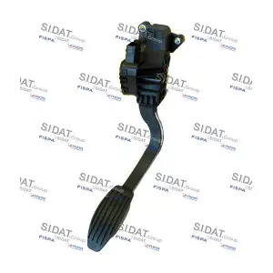 84.407 SIDAT
