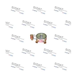 81210 SIDAT