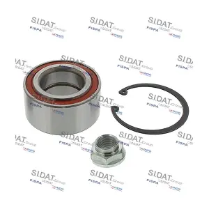 460613 SIDAT