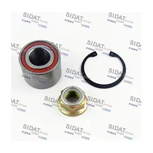 SIDAT 460077