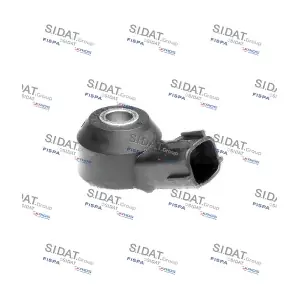 84.028 SIDAT