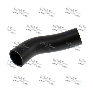 501608 SIDAT