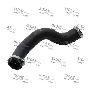 500729 SIDAT