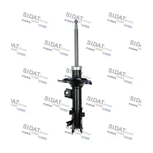 F210G0654 SIDAT