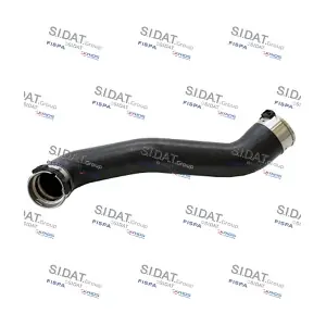 SIDAT 501189