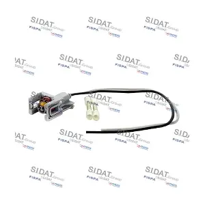 405329 SIDAT
