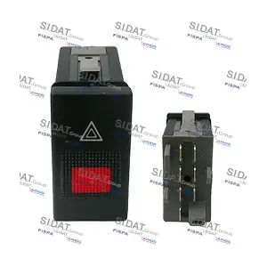 660816A2 SIDAT