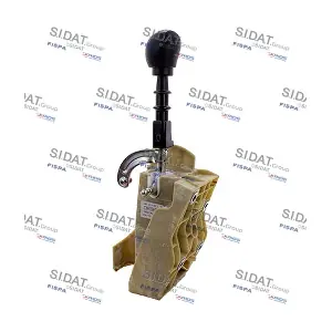 BG010039 SIDAT