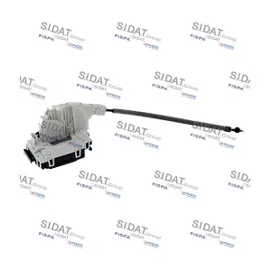 610059A2 SIDAT
