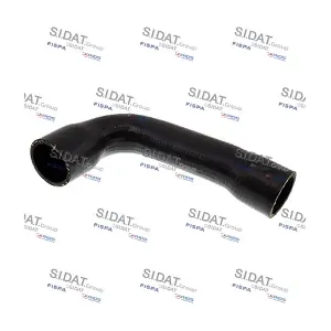 501008 SIDAT