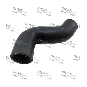 500448 SIDAT