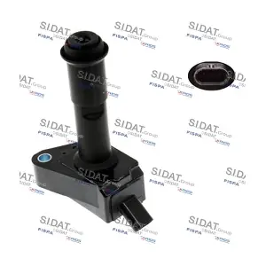 85.30652A2 SIDAT