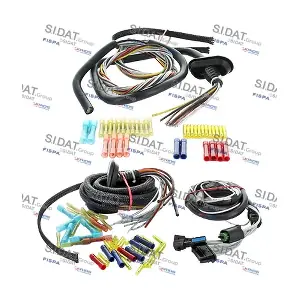 SIDAT 405159