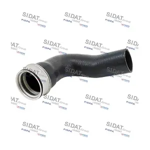 500613 SIDAT