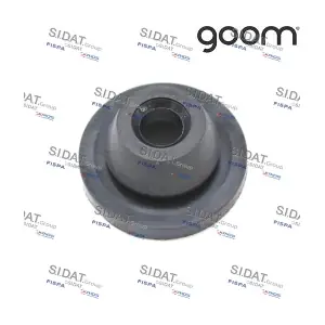 CG010007A2 SIDAT