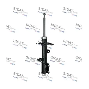 F210G1118 SIDAT