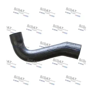 SIDAT 500119