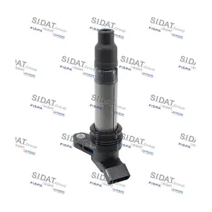 85.30597A2 SIDAT