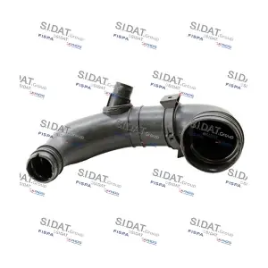 SIDAT 501141