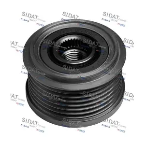 SIDAT 455159