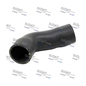 500446 SIDAT