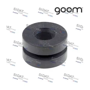 CG010006A2 SIDAT