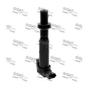 85.30539A2 SIDAT