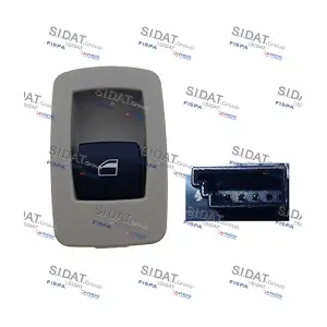 5.145025A2 SIDAT
