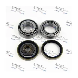 460128 SIDAT