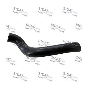 SIDAT 501157