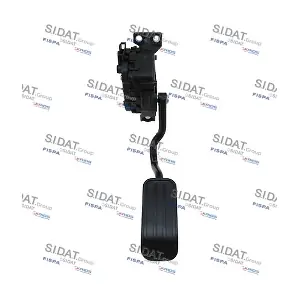 84.2244A2 SIDAT