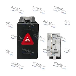 660216A2 SIDAT