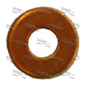 81056 SIDAT
