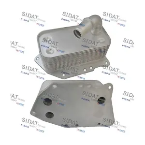 590191 SIDAT