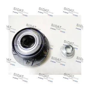 SIDAT 460139