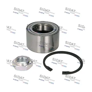 460018 SIDAT
