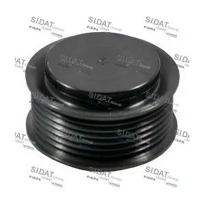 SIDAT 455083
