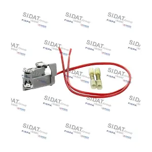 405343 SIDAT