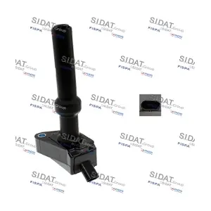 85.30646A2 SIDAT