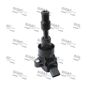 85.30581A2 SIDAT