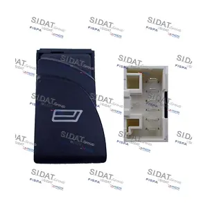 5.145006A2 SIDAT