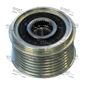 SIDAT 455197