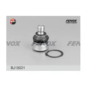 BJ10021 FENOX