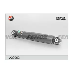 FENOX A22062