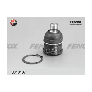 BJ10107 FENOX
