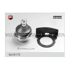 BJ10172 FENOX