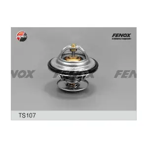 FENOX TS107