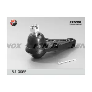 BJ10065 FENOX