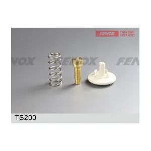 TS200 FENOX