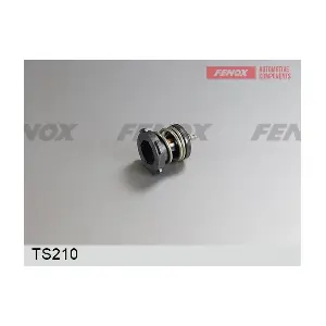 TS210 FENOX